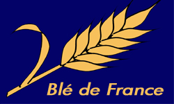 Simulation SimTrade : Blé de France