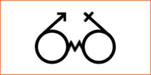 Logo_Gender_and_finance_w440_h220