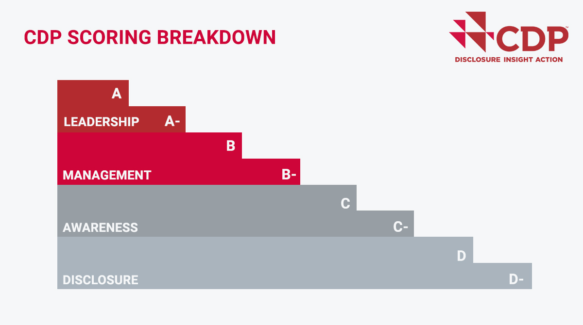 Carbon disclosure rating table