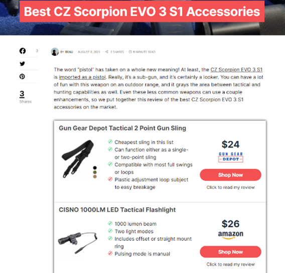 Company website snapshot
