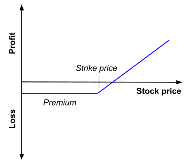 Profit and loss (P&L) as a function of the price of the underlying asset at maturity