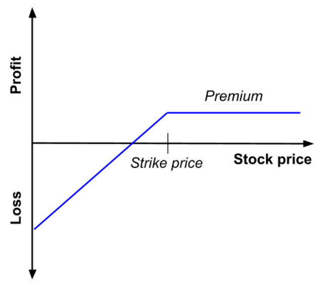 Profit and loss (P&L) as a function of the price of the underlying asset at maturity