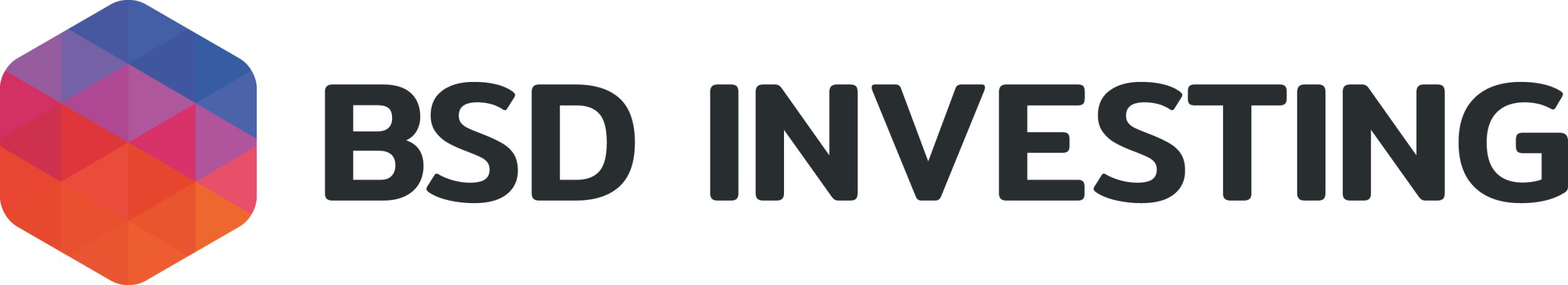 Logo BDS Investing