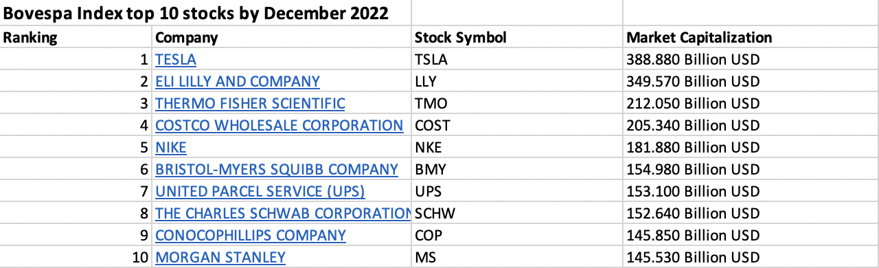 Top 10 stocks in the BOVESPA index