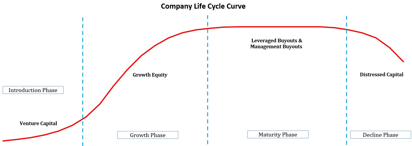 Company Life Cycle