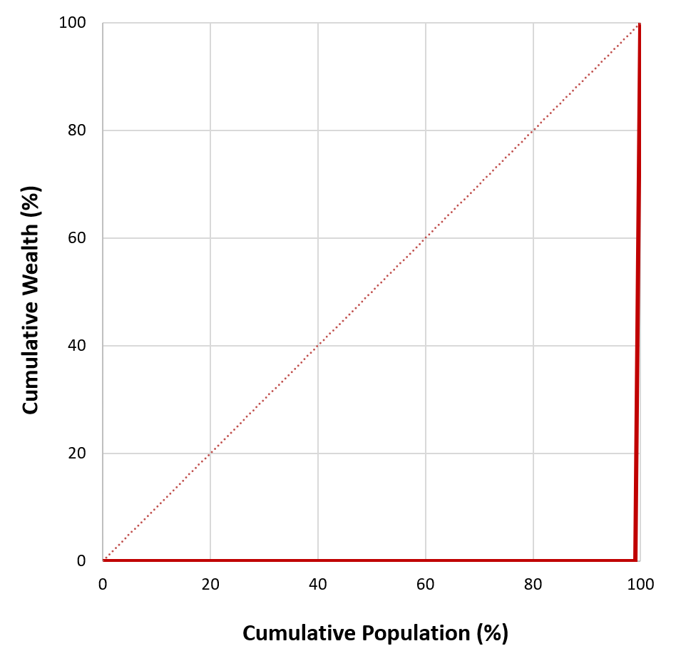  Gini Index co-efficient in case of maximum inequality