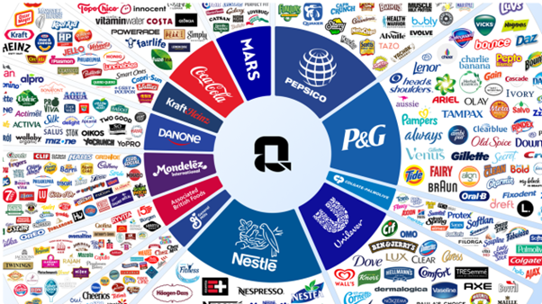 op FMCG companies brands